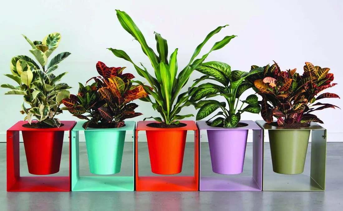 jardineras-urbanas-individuales-modulares Conjunto de jardineras especial para hoteles.
