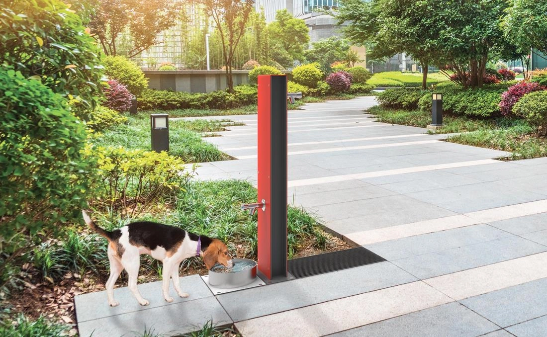 Fuente canina para perros.