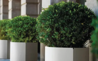 Jardineras urbanas